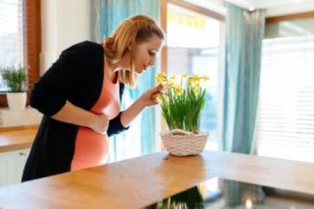 رشد حس چشایی در جنین