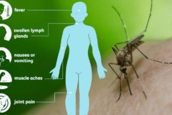 ویروس نیل غربی