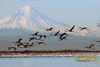 تالاب میانکاله کجاست؟