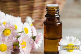 روغن بابونه