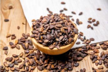 دمنوش تخم هندوانه