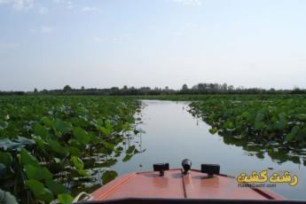 تالاب انزلی