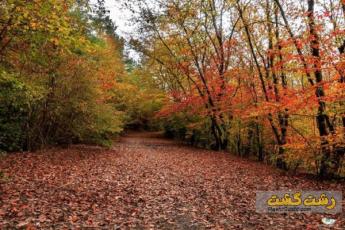 پارک جنگلی سراوان گیلان