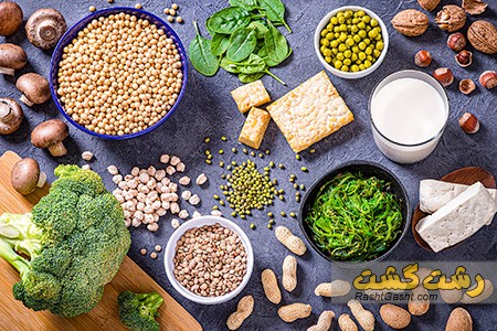 تصویر شماره منابع پروتئین برای گیاهخواران