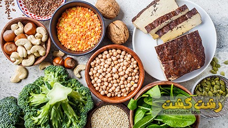 تصویر شماره منابع پروتئین برای گیاهخواران