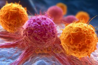 غذاهای سرطان زا