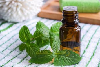 طرز تهیه عرق نعنا