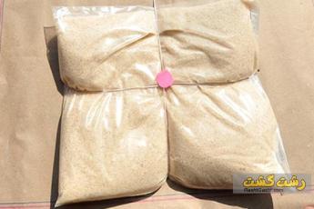 مفدرون چیست؟