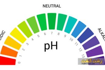 معده ی اسیدی