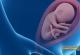 همه چیز درباره حرکات جنین
