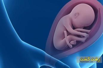 همه چیز درباره حرکات جنین