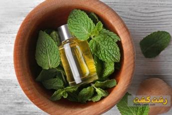 پاکسازی پوست به وسیله بخور نعناع