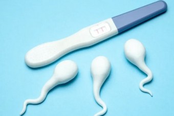بارداری با اسپرم خشک
