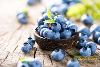 مدفوع سیاه نشانه چیست ؟