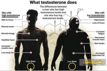 افزایش هورمون تستسترون
