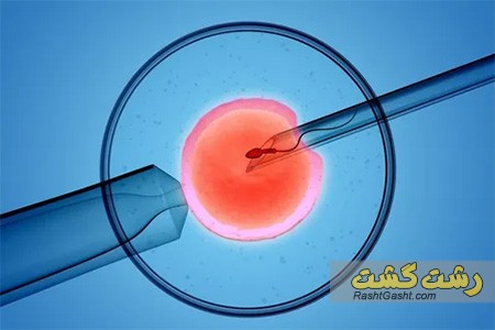 تصویر شماره داروهای IVF