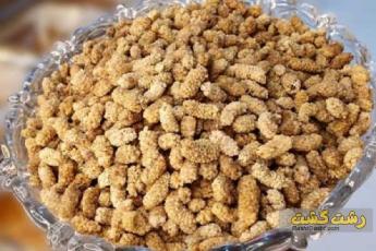 چگونه توت را خشک کنیم ؟